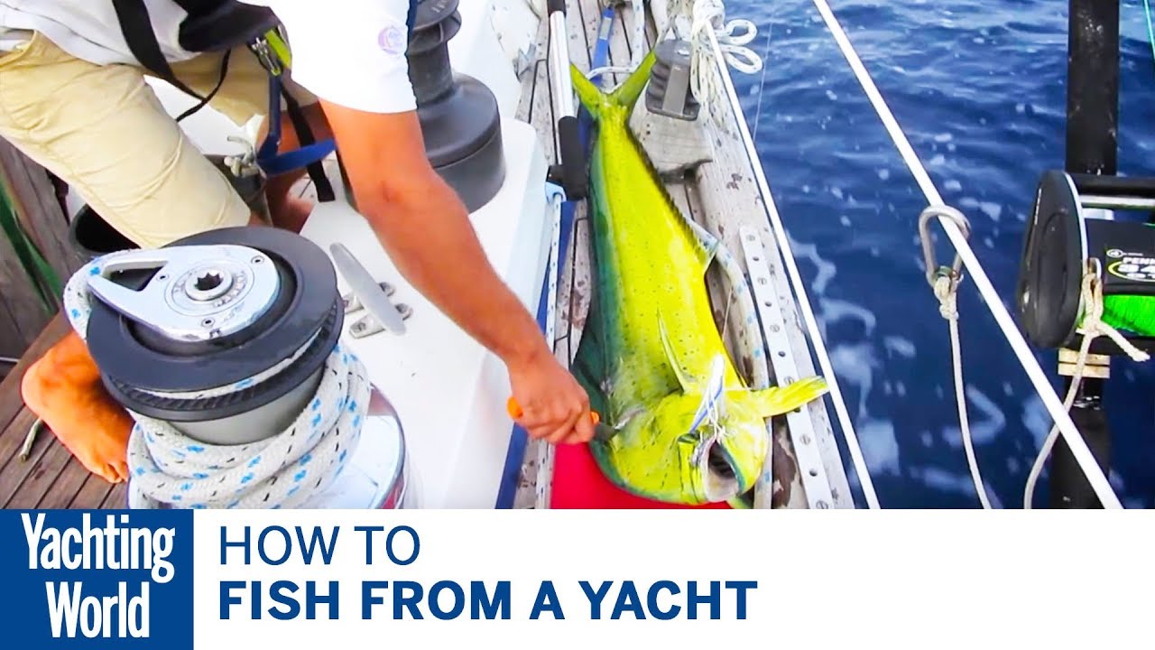 Cum să pescuiți de pe un iaht - Yachting World Bluewater Sailing Series |  Lumea Yachtingului
