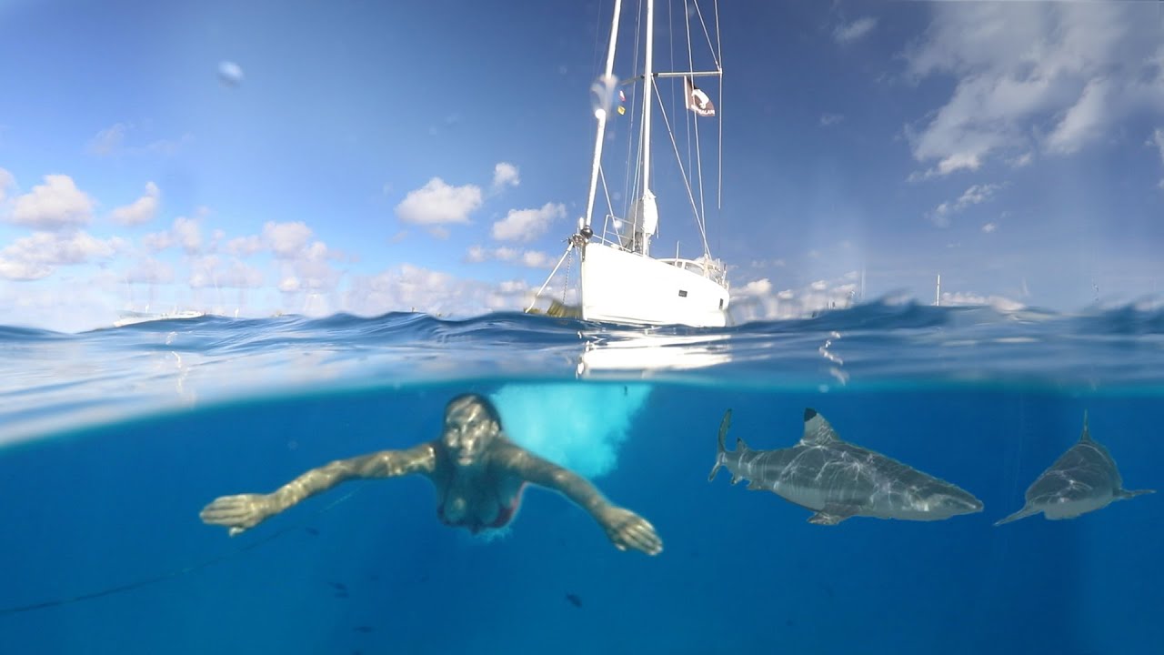 ZIDELE RECHINILOR Freediving |  Tranquilo Sailing în jurul lumii |  Ep.93