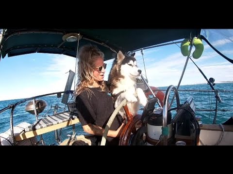 RECHINI unde sunt ??  - Ocean Wolf Sailing ⚓ Ep.5 (Shark Bay 2/4)