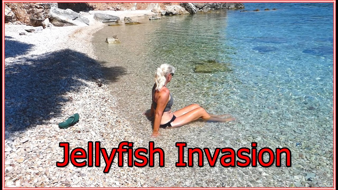 Invazia meduzelor - Mii de oameni coboară în Grecia |  Sailing Kejstral Adventures S07E06