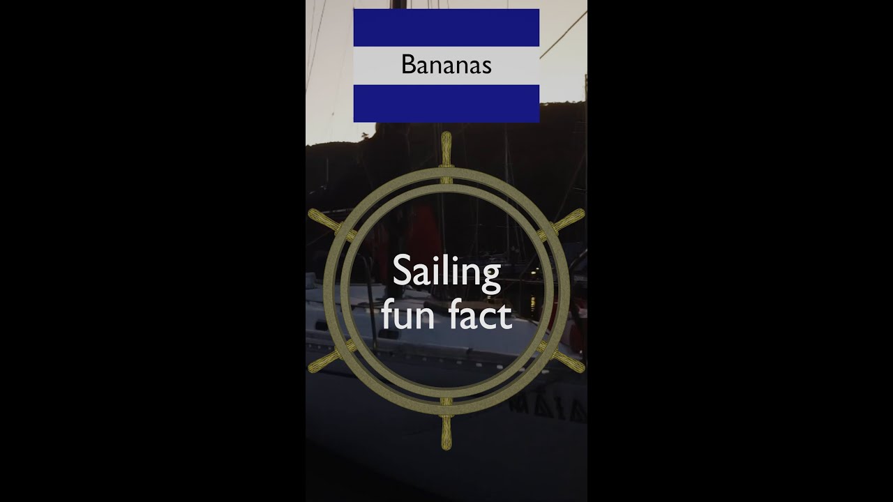 fapte distractive despre navigație - banane