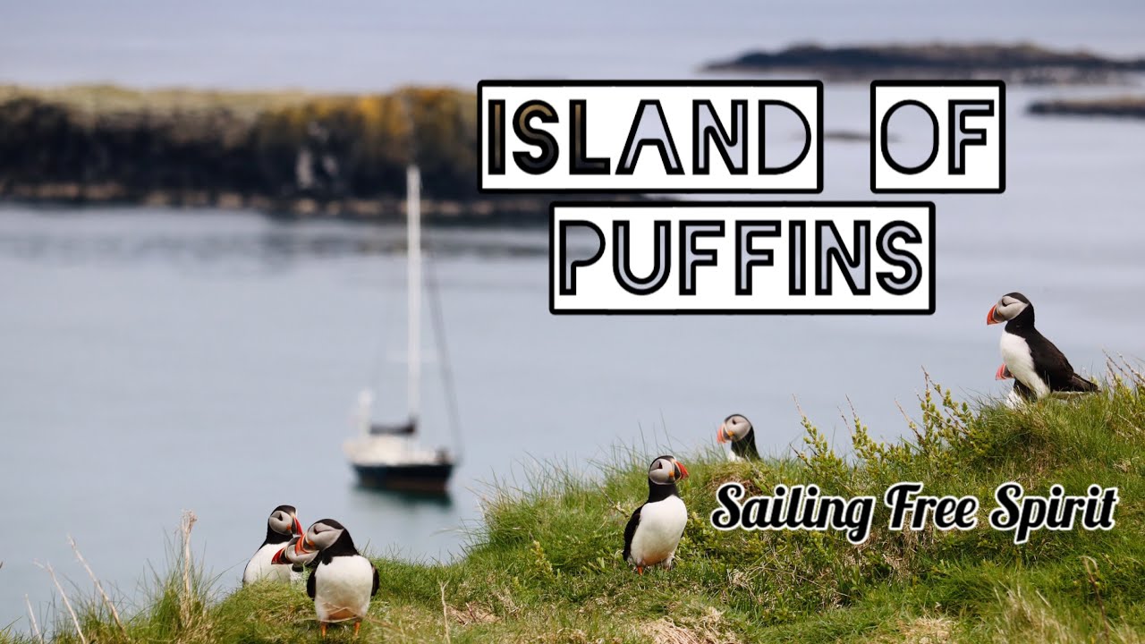 Insula Puffins- Coasta de Vest a Scoției (Sailing Free Spirit)