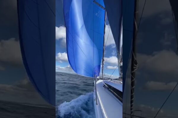 Sailing in Benetau be like😍😍😍
