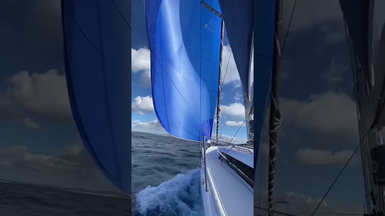 Sailing in Benetau be like😍😍😍