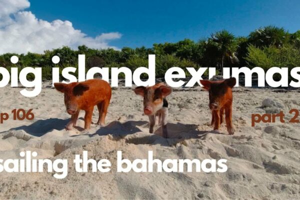 PIG ISLAND EXUMAS//Sailing The Bahamas-Episodul 106