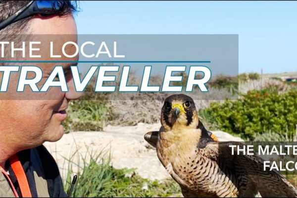 Faceți cunoștință cu șoimul maltez |  EP: 20, partea 3 |  Călătorul local cu Clare Agius |  Malta