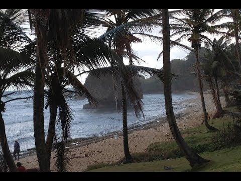 Călătoria mea în Barbados în 4k