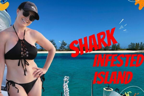 Navigam spre o insulă infectată cu rechini!  - Lazy Gecko Sailing VLOG 239