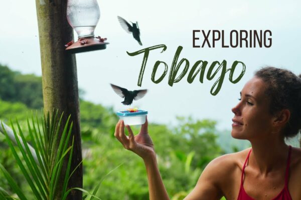 Sailing Saoirse - Explorând Tobago 🏝
