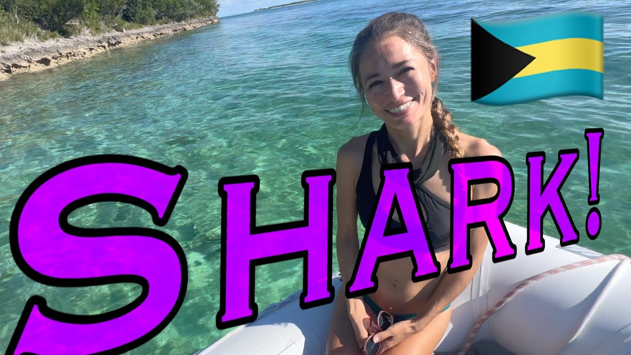 Scufundare și navigație Bahamas |  Primul RECHIN al Lisei