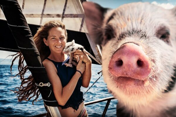🐷 Spune AHOY lui Peanut the Sailing Pig!!!  (Expedition Drenched S1 Ep. 50)