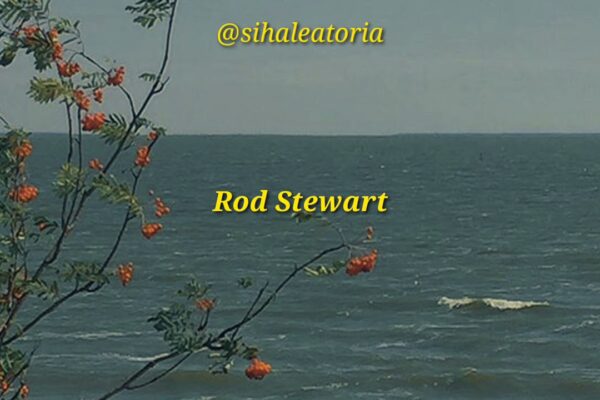 Rod Stewart - Sailing (traducere)