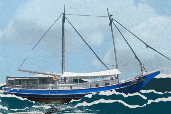 Clădire de barca cu pânze din lemn (electrice, pereți etanși și pardoseli) & CĂRĂCIUN FERICIT!  — Sailing Yabá #113