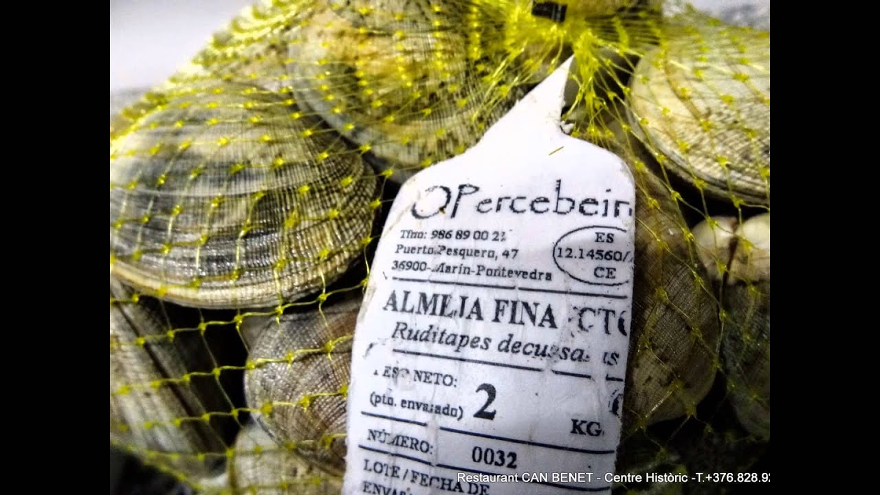 Restaurantul Can Benet Andorra Pește din Galicia Creveți din Palamos Videoclipuri din Andorra