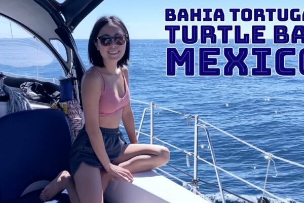 Navigați în Mexic - de la Ensenada la Golful Țestoase