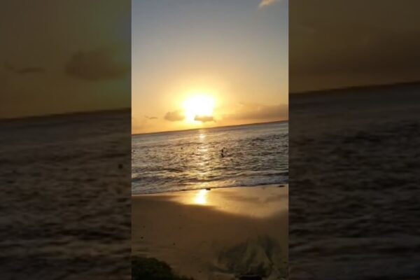 Frumos Sunset Hawksbill Beach Antigua 🇦🇬 #short