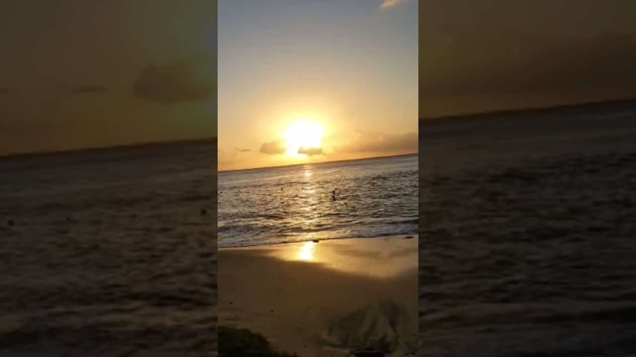 Frumos Sunset Hawksbill Beach Antigua 🇦🇬 #short