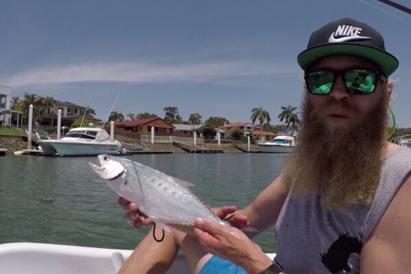 Începutul verii!  Fishing The Noosa River, 2018. #MFJ