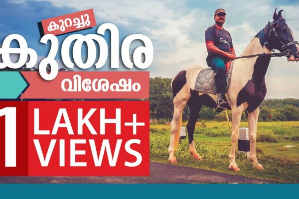 Creșterea cailor în Kerala PARTEA 1 Tot ce trebuie să știți despre cai Interviu cu un iubitor de cai.