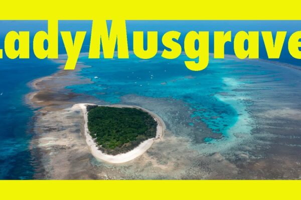 Navigare spre Insula Lady Musgrave.  (Învățând făcând Ep204)