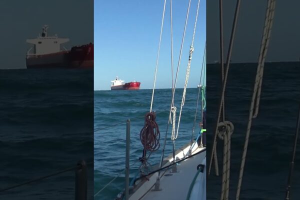 Evitând nave URIAȘE care navighează spre Insula Great Keppel #shorts