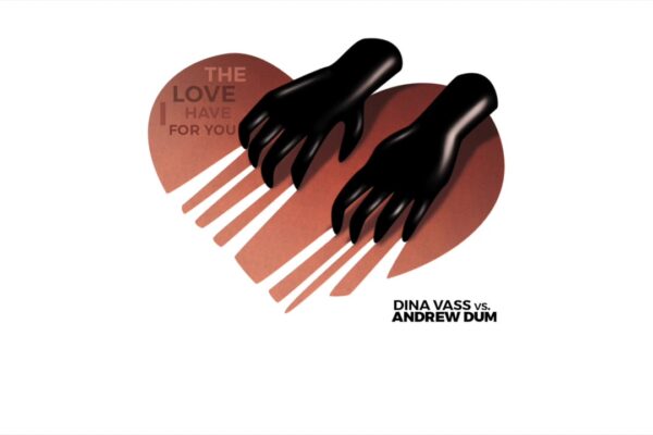 Dina Vass - Dragostea pe care o am pentru tine (Andrew Dum EDIT)