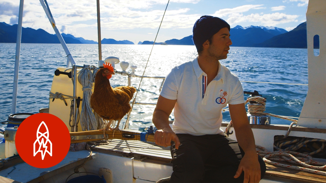 Navigați în Marea Liberă cu un pui de companie