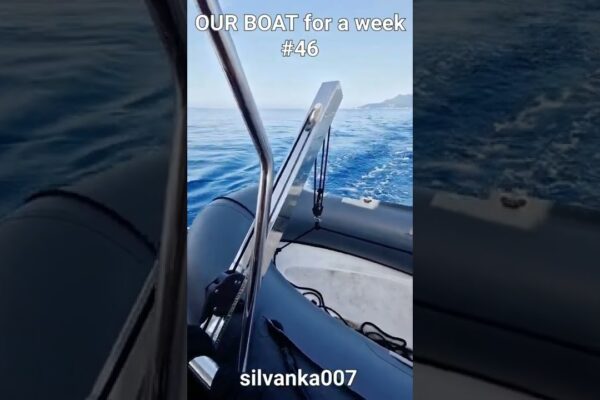 Shark in the Water - Greek Yachting FOUNTAINE PAJOT ISLA Sailing Catamaran - Istion Yachting #shorts