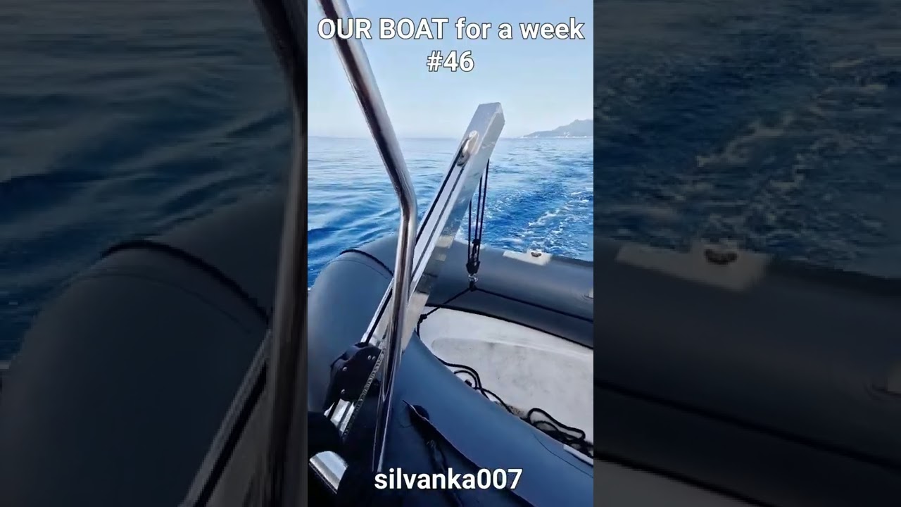 Shark in the Water - Greek Yachting FOUNTAINE PAJOT ISLA Sailing Catamaran - Istion Yachting #shorts