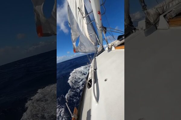 🫣 Rupând brațul nostru navigând din Hawaii către Alaska în ziua 2 a pasajului #ohno #sailing #tornjib