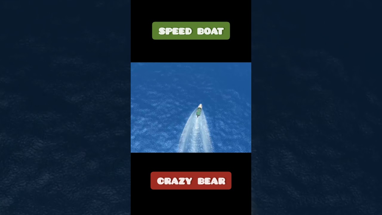 Ursul nebun |  video amuzant |  barca cu viteza