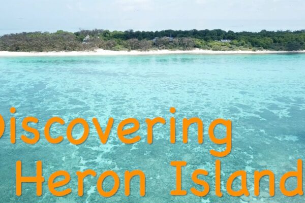 Navigație nocturnă către Insula Heron: O aventură neașteptată