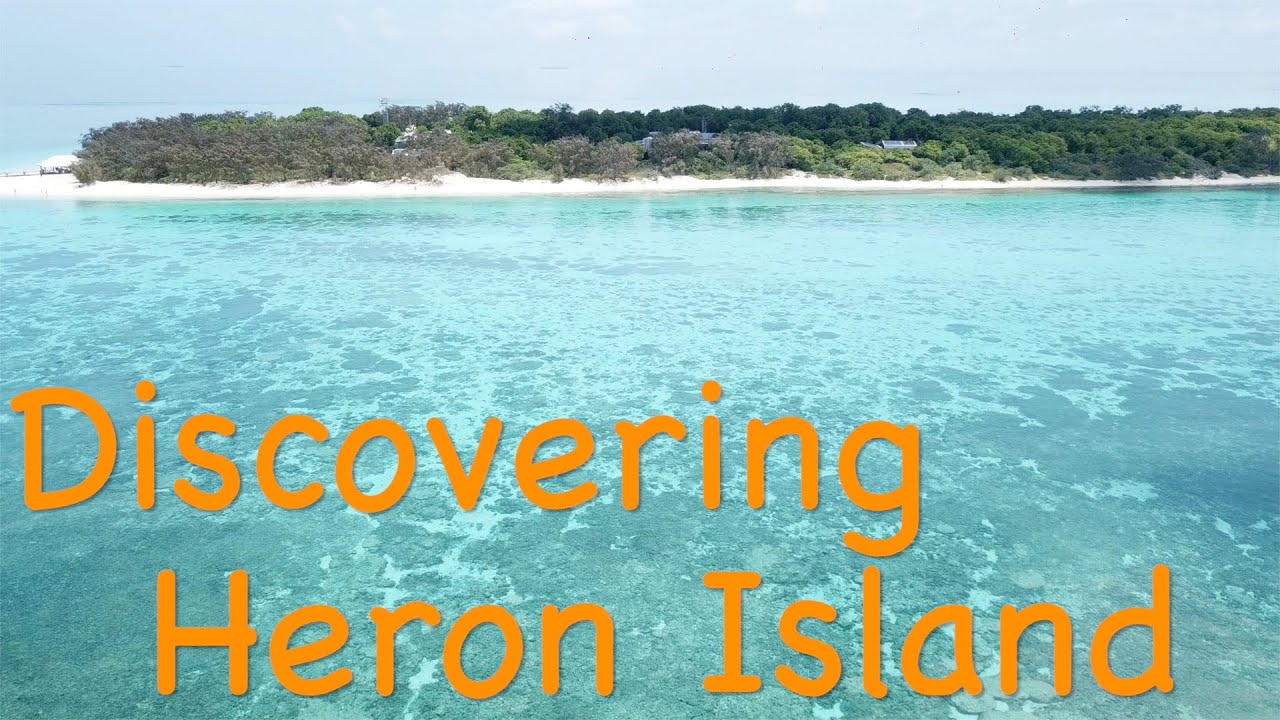 Navigație nocturnă către Insula Heron: O aventură neașteptată
