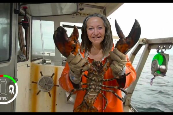 #205 Pescuitul de homar ciudat și trăsnit - Nu veți crede ce a fost prins!  |  MAINE |  Sailing Sisu