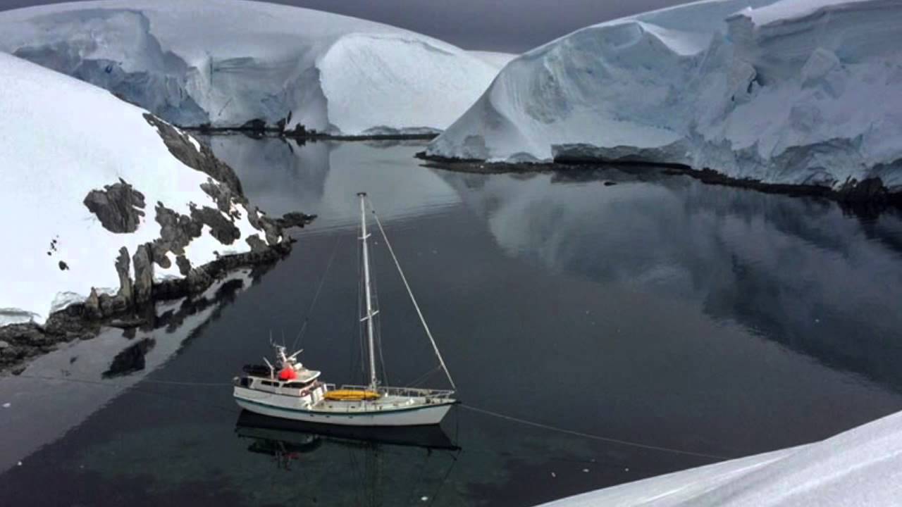 Navigați prin Antarctica: balene, pinguini și aisberguri în ultima expediție în natură polară