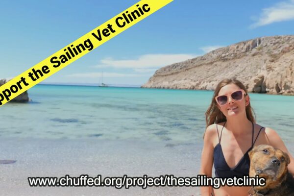 Strângerea de fonduri pentru clinica veterinară Sailing