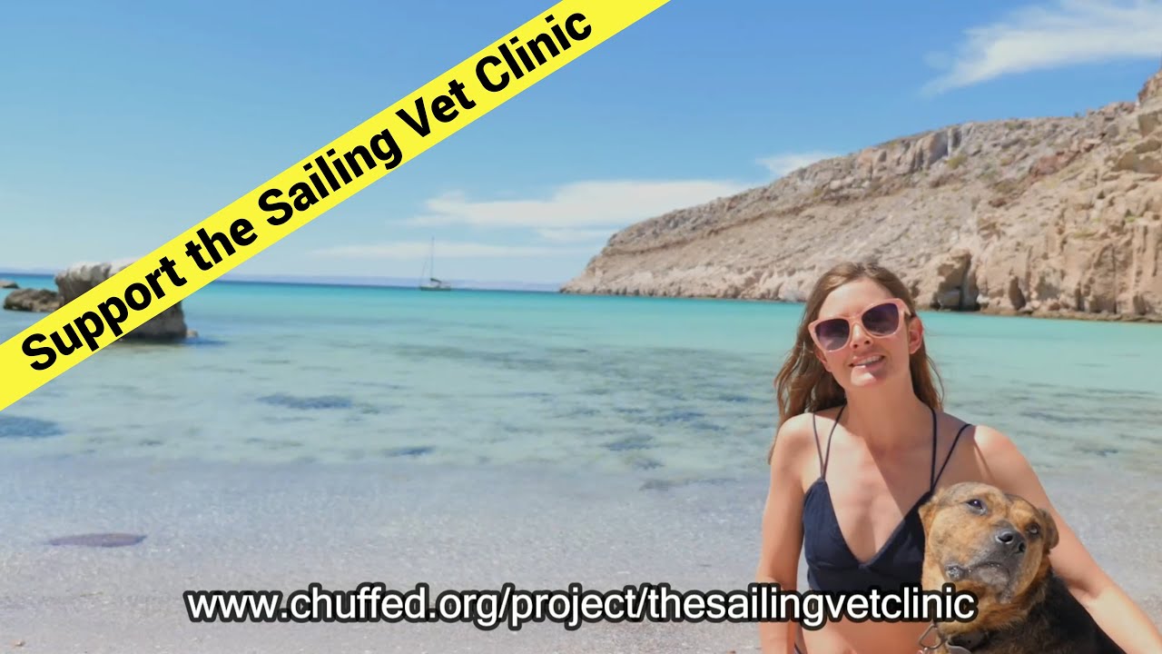 Strângerea de fonduri pentru clinica veterinară Sailing
