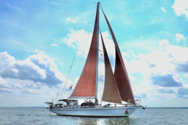 Învățarea slăbiciunii Tanbark Sails |  Înțelepciunea navigată [S5 Ep54]
