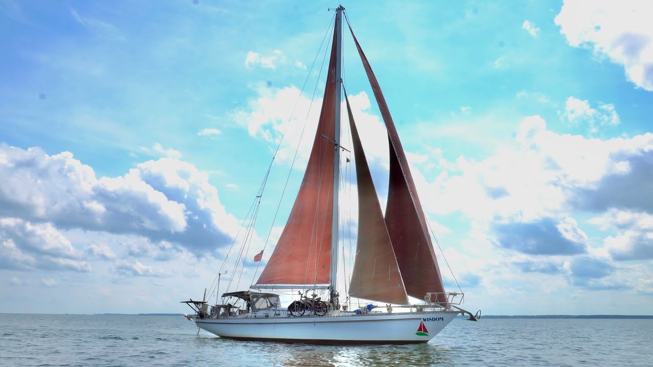 Învățarea slăbiciunii Tanbark Sails |  Înțelepciunea navigată [S5 Ep54]