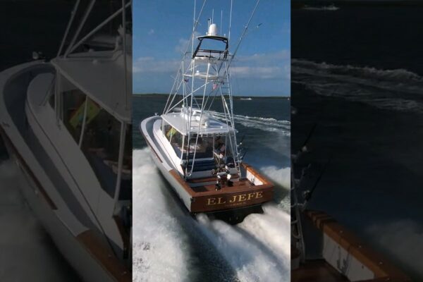 Urmărind iahtul SportFish „EL JEFE” în ​​North Palm Beach #Florida 🌴🛥️🌴#shorts #boat #dji #boating