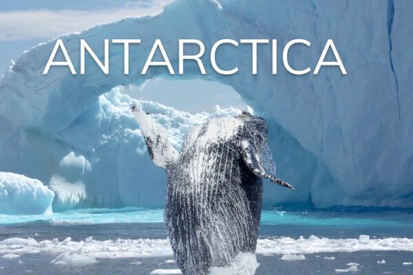 Antarctica: continentul cel mai puțin înțeles de pe pământ.  Navigare spre Antarctica
