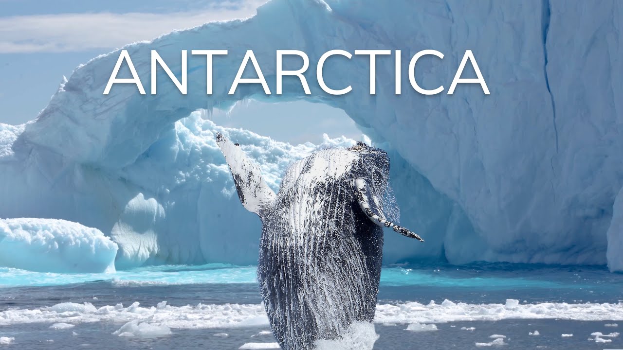 Antarctica: continentul cel mai puțin înțeles de pe pământ.  Navigare spre Antarctica