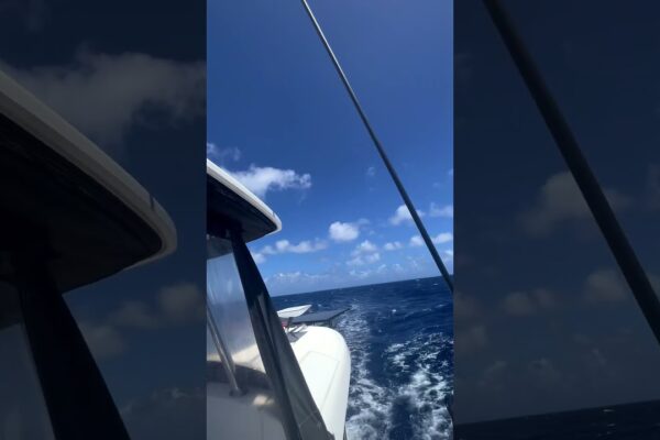 Mare navigare de la St. Thomas la St. Croix!  #boatlife #catamaran #navigație