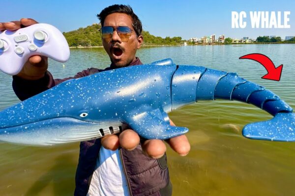 RC Big Blue Whale Shark Unboxing & Testing - Chatpat toy tv