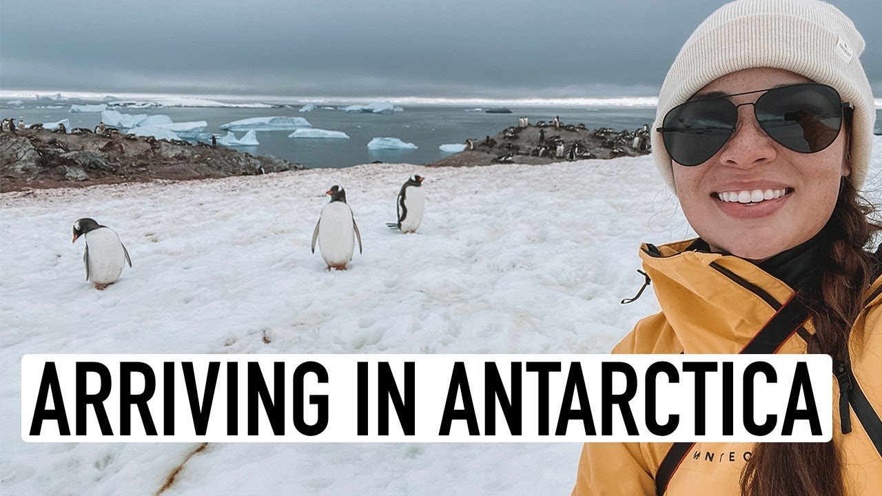 SAILING ANTARCTICA |  Prima observare a pinguinului