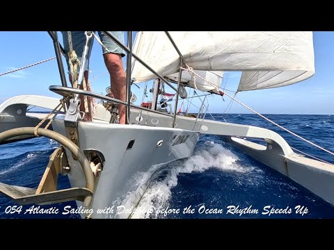 Navigație în Atlantic cu delfinii înainte ca ritmul oceanului să se accelereze, Trimaran Dawn 054