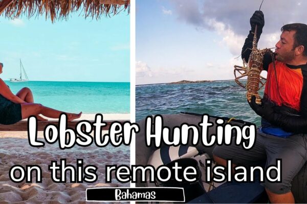 Aventura de navigație și prinderea homarului în Bahamas |  Insulele zdrențuite