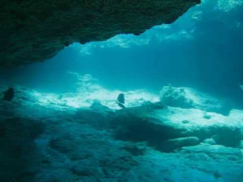 Scuba Diving Isla Mujeres - Mexic