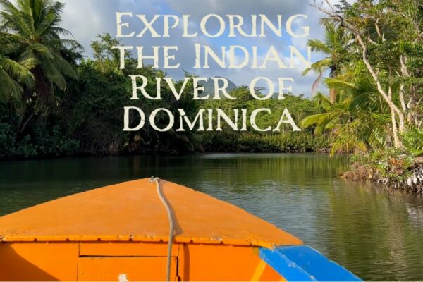 Navigarea în jurul lumii - Explorarea râului indian din Dominica - Navigarea pe noi orizonturi - Ep.99