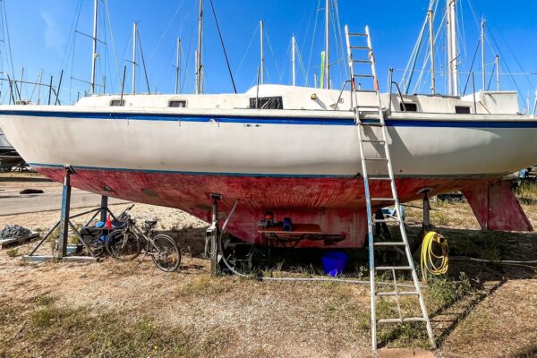 Proiectul barca de 1 euro continuă!  WINdows, Rotten Decks și Hoții... |  PĂSĂRĂ DE MARE SAILING Ep.  23
